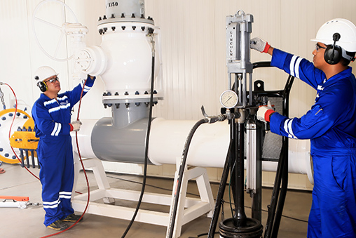 Online valve lubrication and sealing